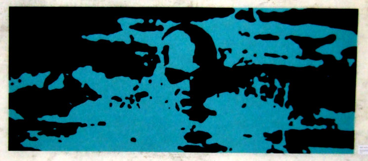 der steiner